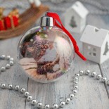 Ёлочный шар